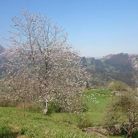 Appartement Rurales Andrea Llanes